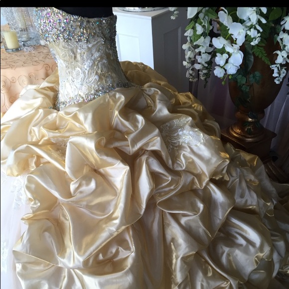 Quinceñera dress - Picture 3 of 6